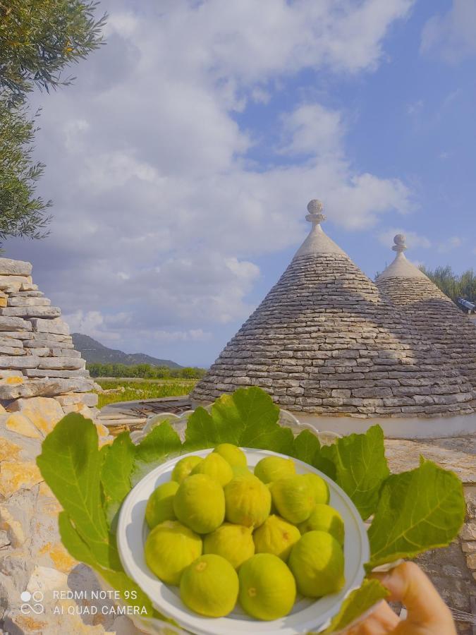 Masseria Calo Monopoli Exteriér fotografie